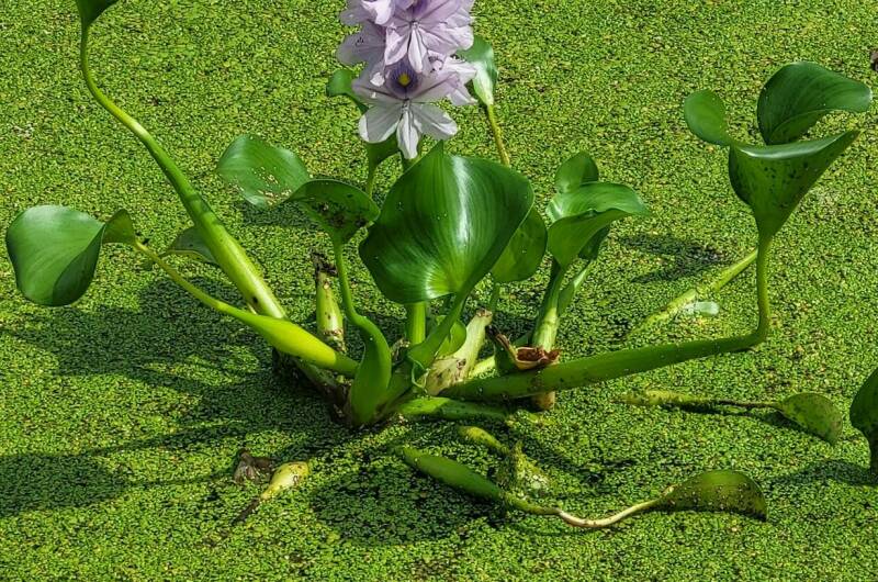 Гостевой дом «У Озера»