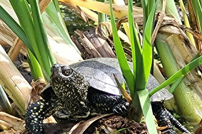 Гостевой дом «У Озера»