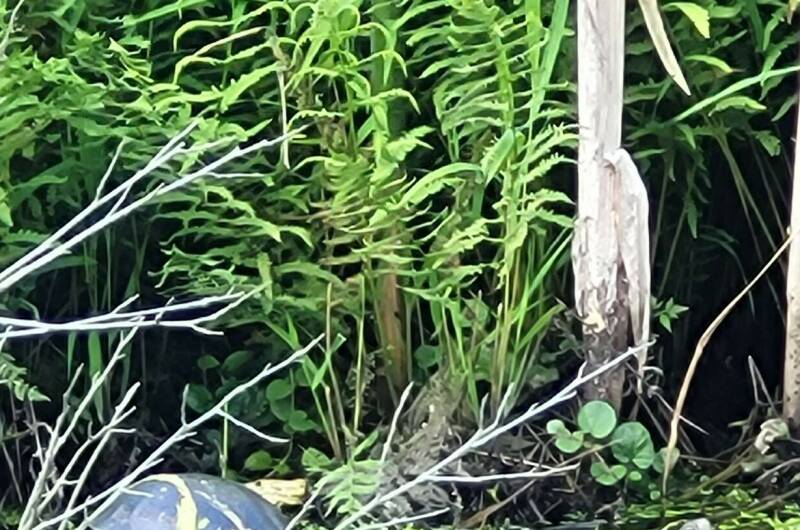 Гостевой дом «У Озера»