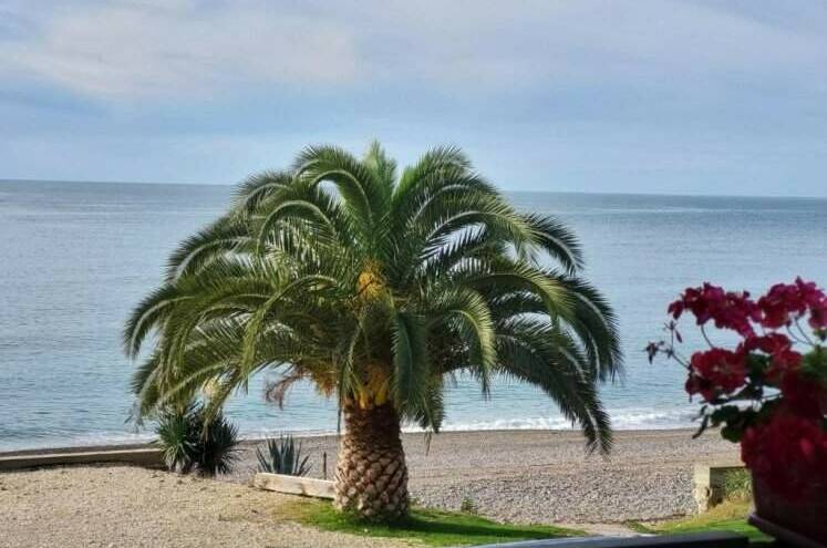 Гостевой дом «Arsaul»