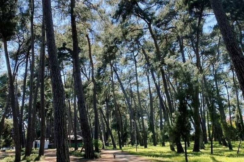 Гостевой дом «Лдзаа»