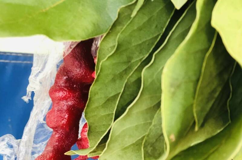 Гостевой дом «Del Mar»