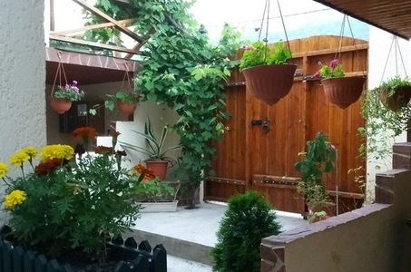 Гостевой дом «Del Mar»