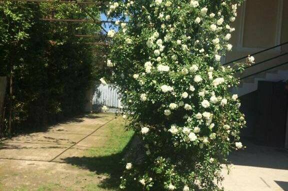 Гостевой дом «Гудаута»