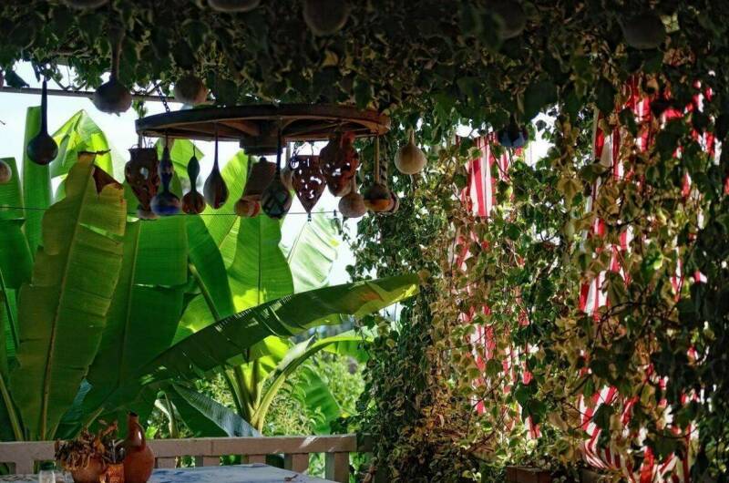 Гостевой дом «Эль-Плáтано»