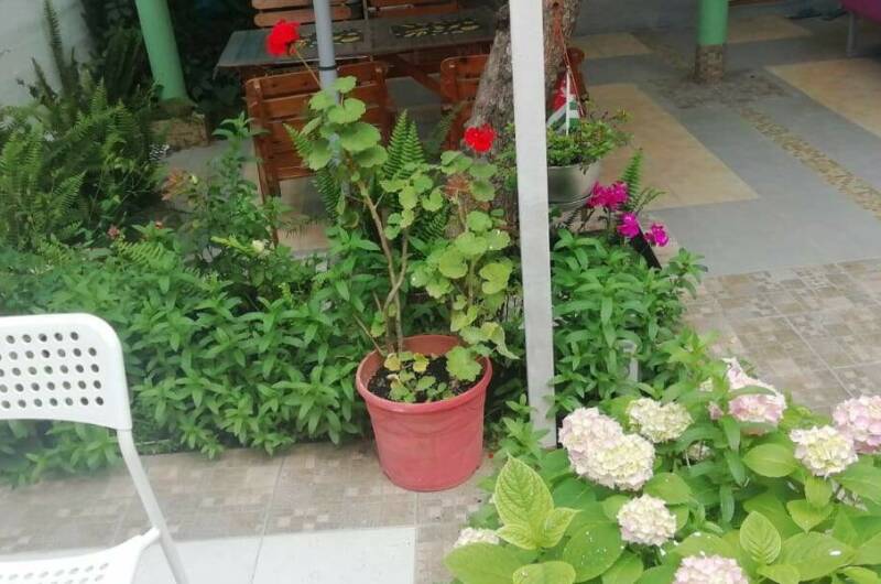 Гостевой дом «У Седы Сергеевны»