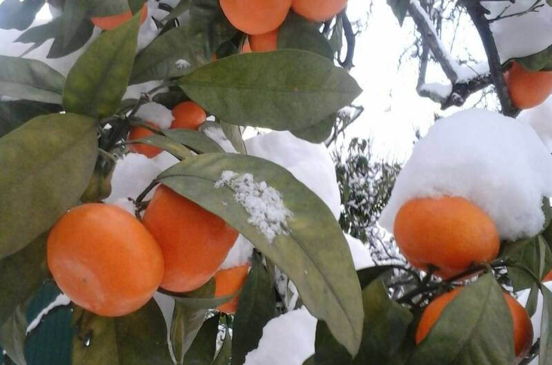 Гостевой дом «Барс» (Irbis)