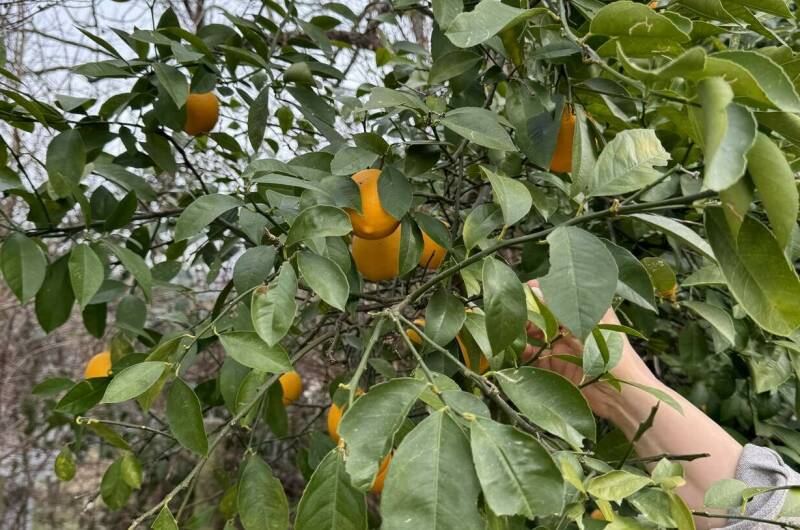 Гостевой дом «Счастливый дом»