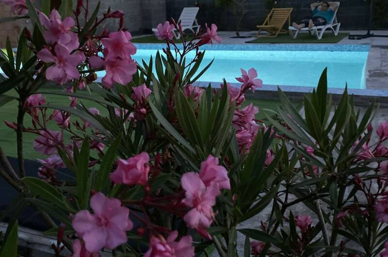 Гостевой дом «Сюзанна»