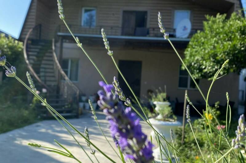 Гостевой дом «Сюзанна»