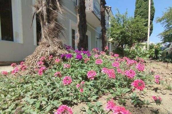 Гостевой дом «Dioskuria»