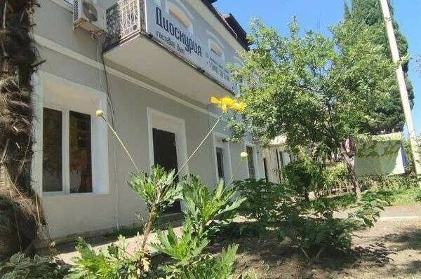 Гостевой дом «Dioskuria»