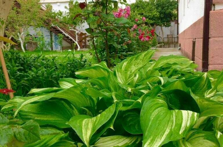 Гостевой дом «Пегас»