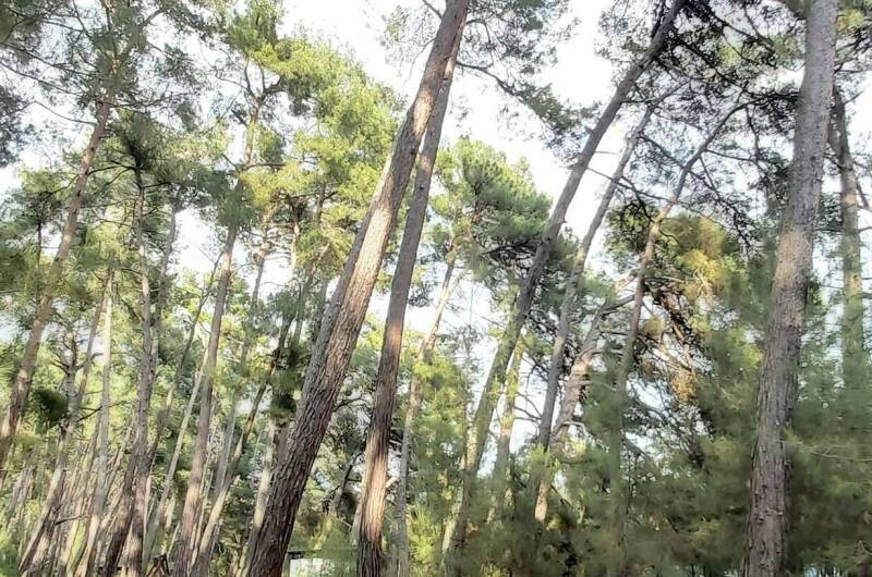 Гостевой дом «Пегас»