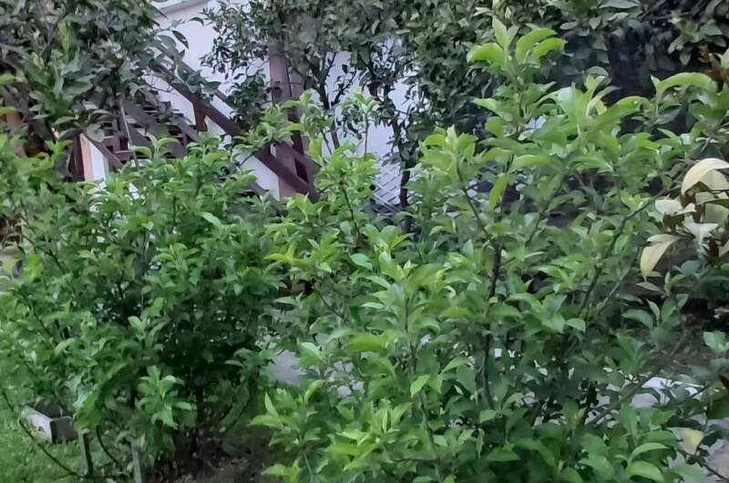 Гостевой дом «Пегас»