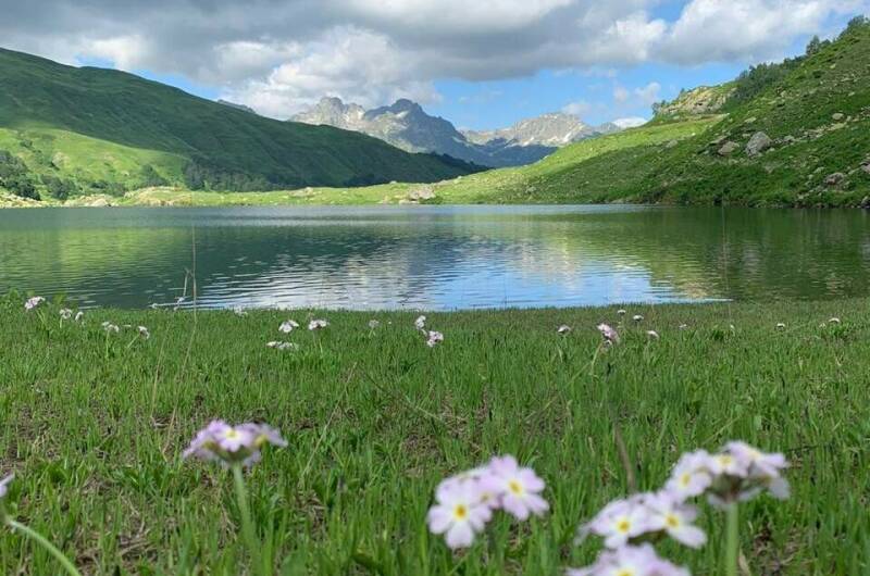 Гостевой дом «Пегас»