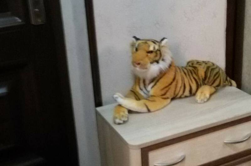 Квартира «Отдых у Ольги»