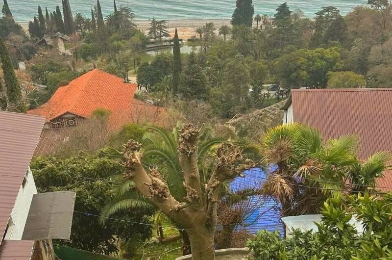 Гостевой дом «Панорама-Гагра»