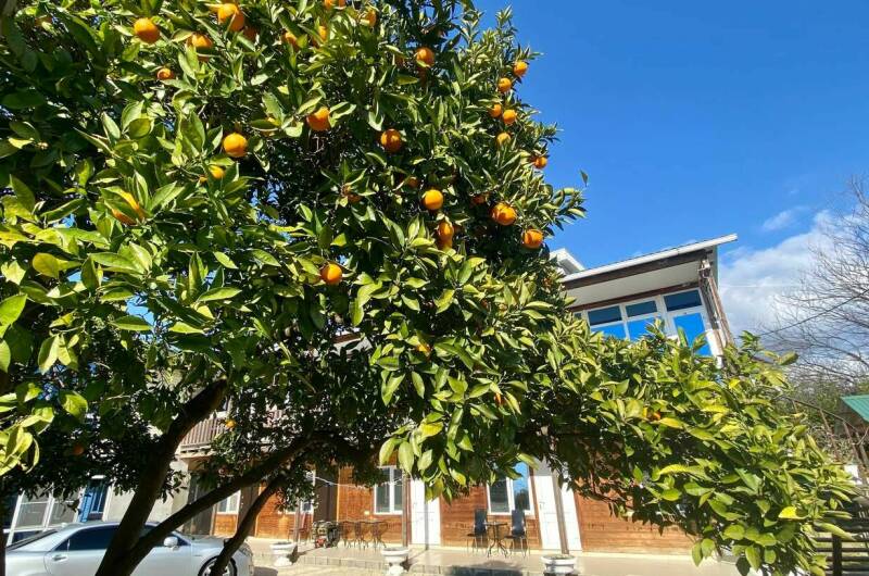 Мини-отель «Фортуна»