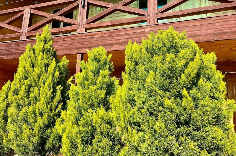 Мини-отель «Фортуна»