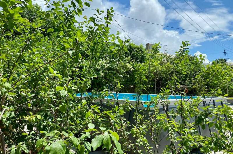 Гостевой дом «Калипсо»