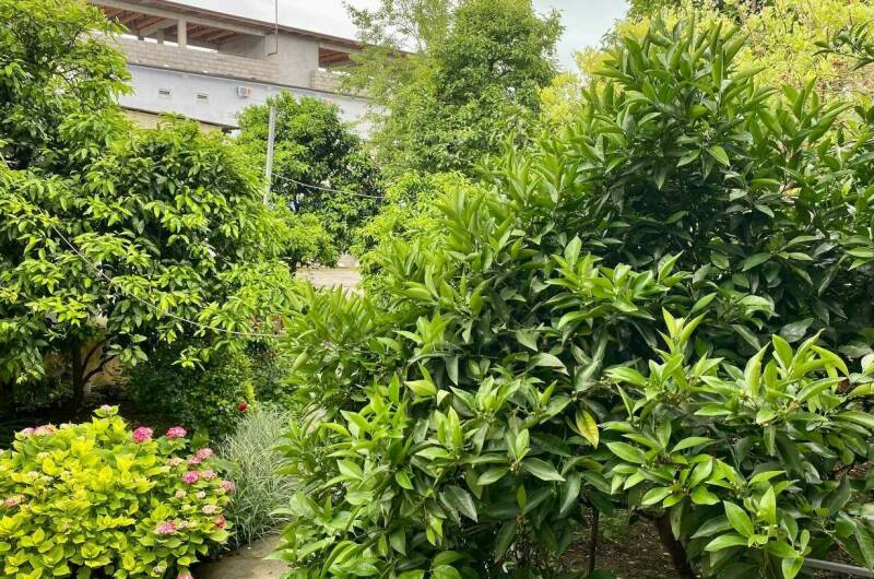 Гостевой дом «Калипсо»