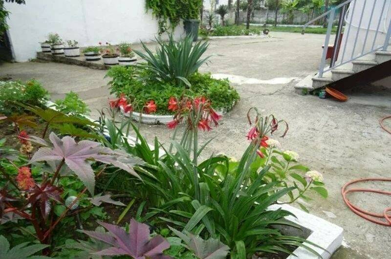 Гостевой дом «Белый дом»