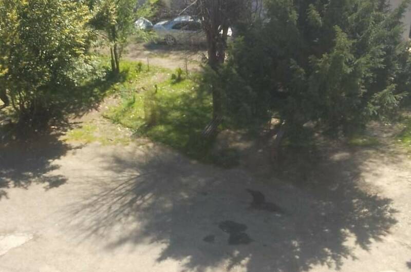 Квартира у моря