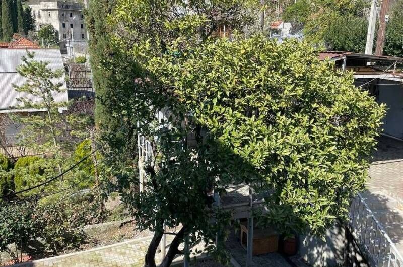 Гостевой дом «Апельсин»