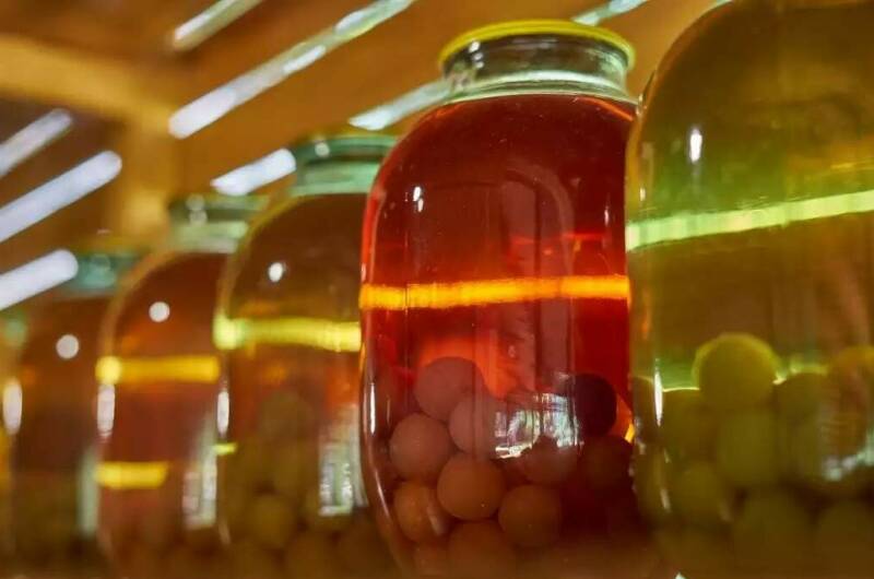 Мини-гостиница «Гнездо Белой совы»