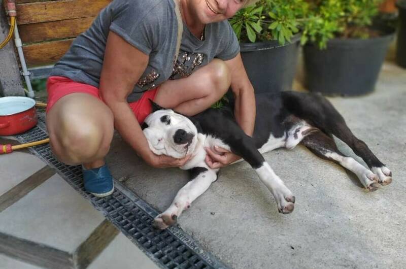 Мини-гостиница «Гнездо Белой совы»