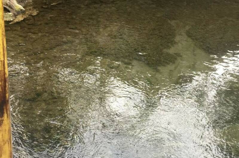 Гостевой дом «Ангелина»