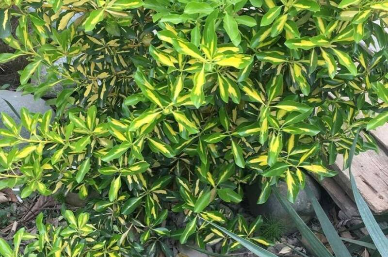 Гостевой дом «Ангелина»