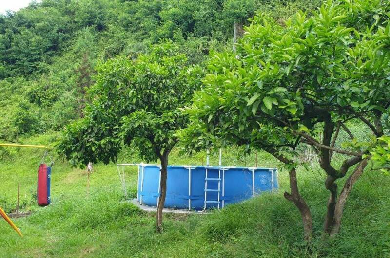 Дом для большой семьи