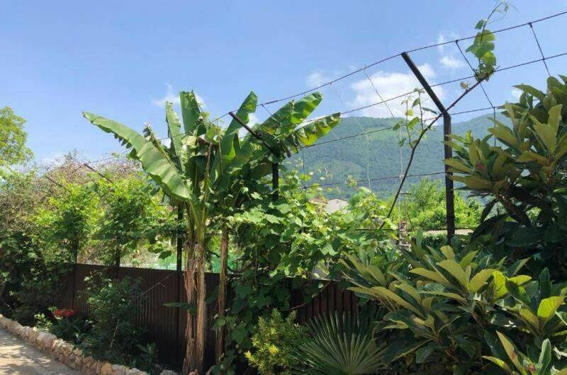 Гостевой дом «Фазенда»