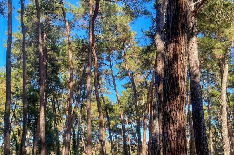 Гостевой дом «Harmony»