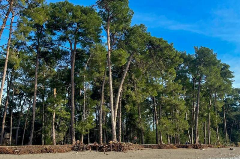 Гостевой дом «Harmony»