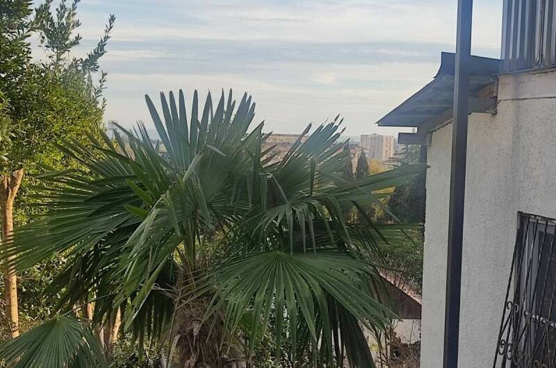 Гостевой дом «у Нино»