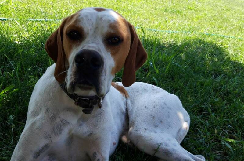 Гостевой дом «Лыхны»